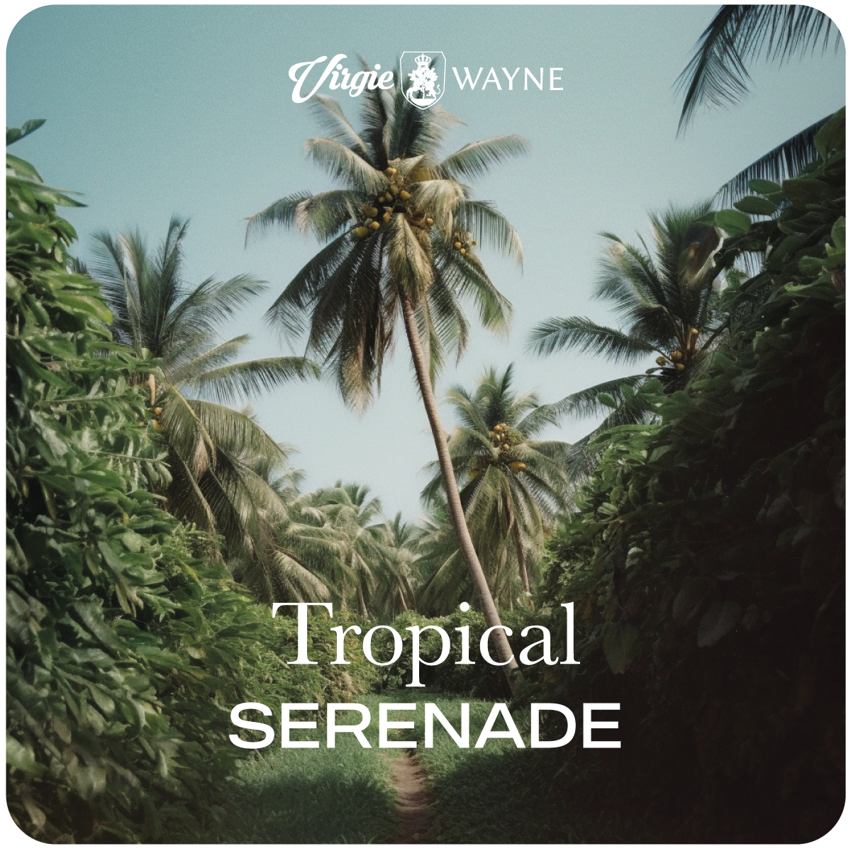 Tropical Serenade